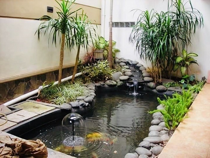 Indoor and outdoor ponds